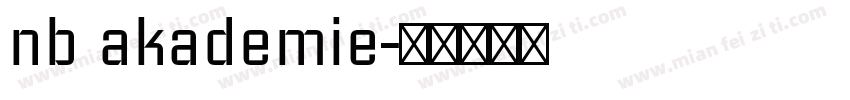 nb akademie字体转换